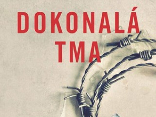 kniha Dokonala tma