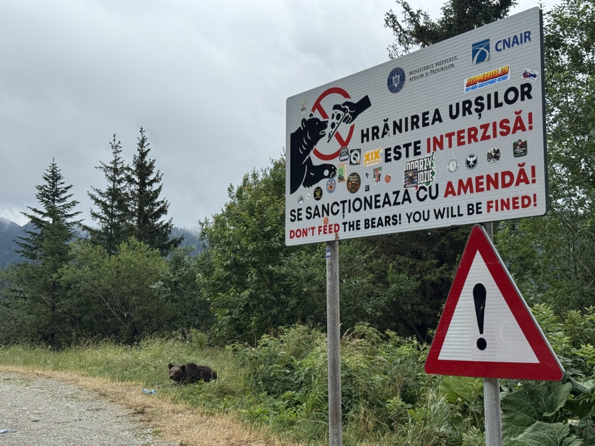 Transfăgărășan a Transalpina s Daciou Duster - 2025