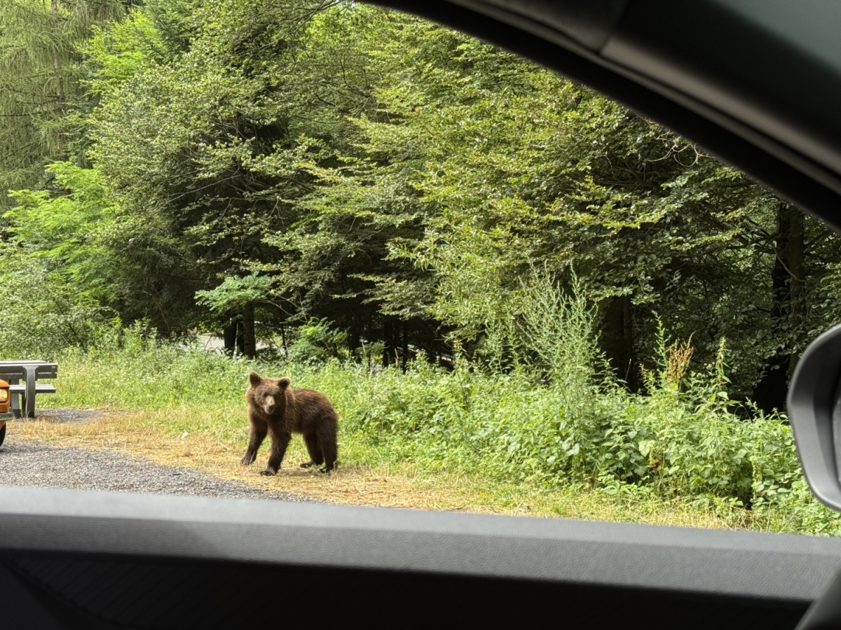 Transfăgărășan a Transalpina s Daciou Duster - 2025