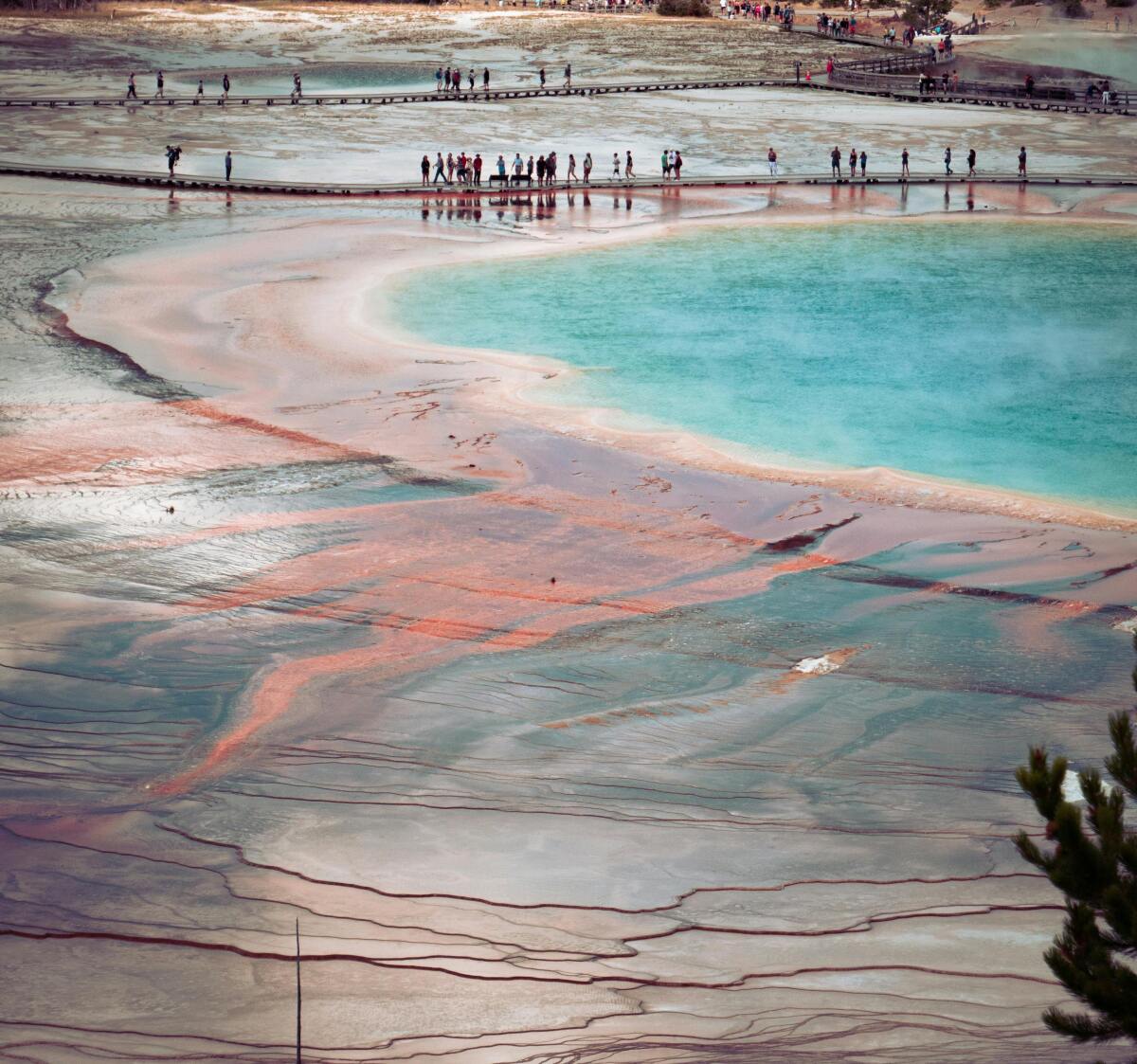 Yellowstone, gejzír, horúci prameň, národný park, USA