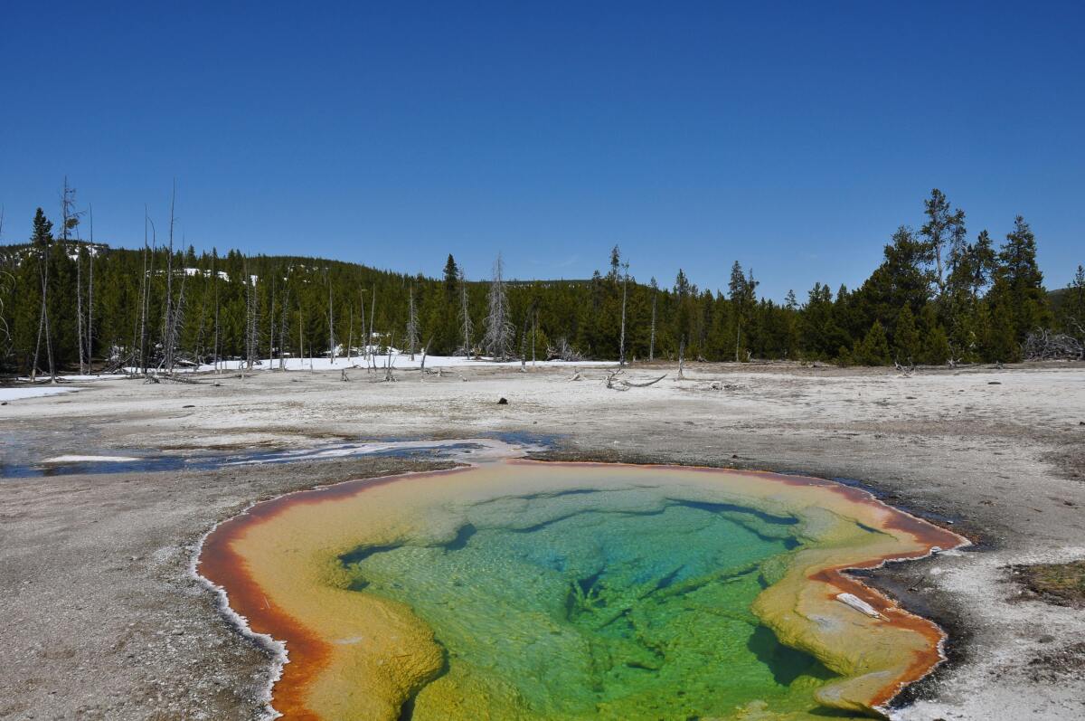 Yellowstone