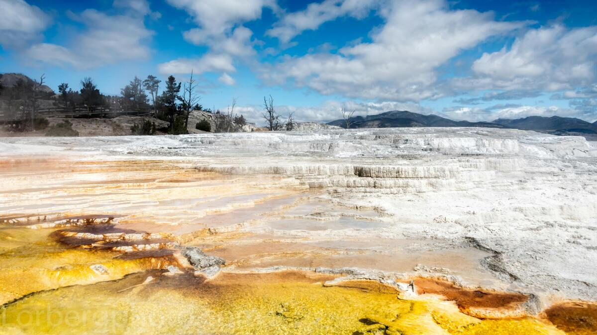 Yellowstone
