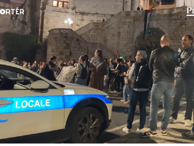 protest, Palestína, Sardínia, mReportér