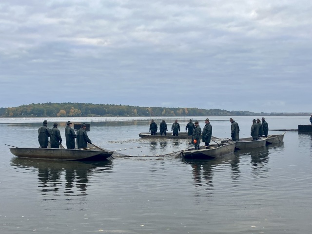 výlov rýb, kapre, Třeboň, južné Čechy