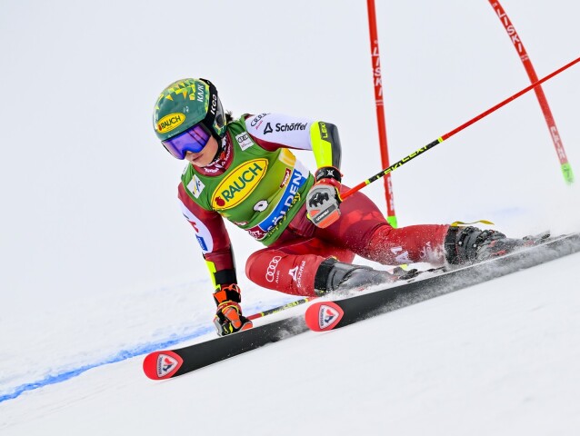 Julia Scheibová