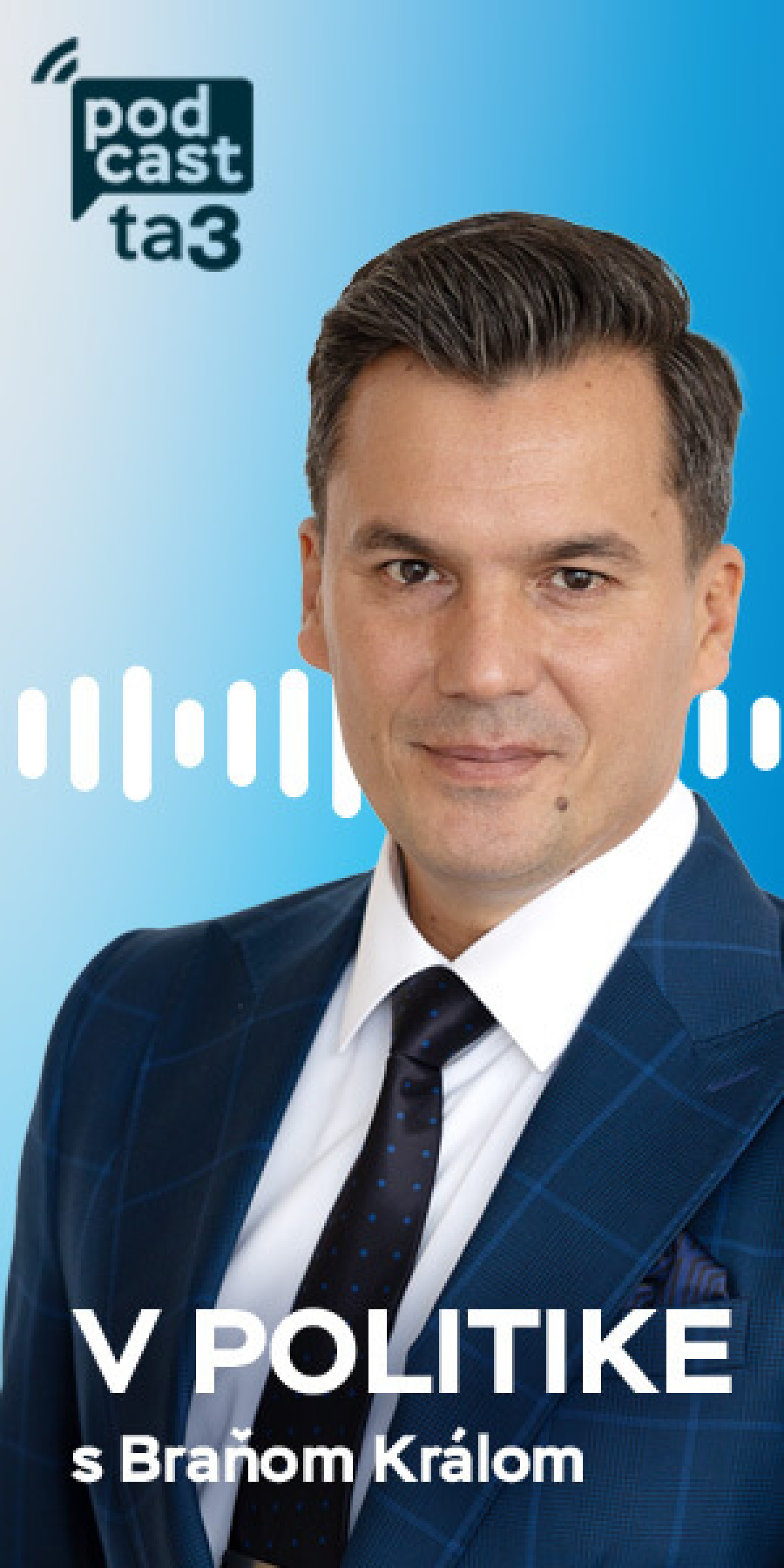 Podcast V politike s Branom Kralom