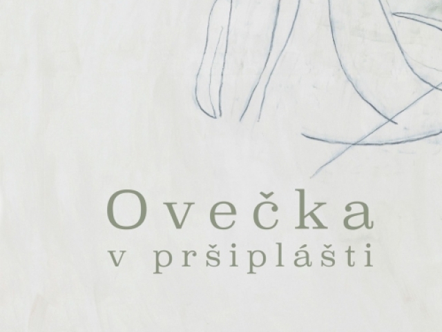 ovecka v prsiplasti