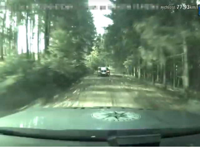 policajná naháňačka, les, Policie ČR