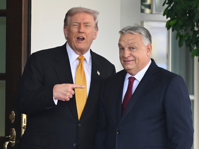 Donald Trump / Viktor Orbán /