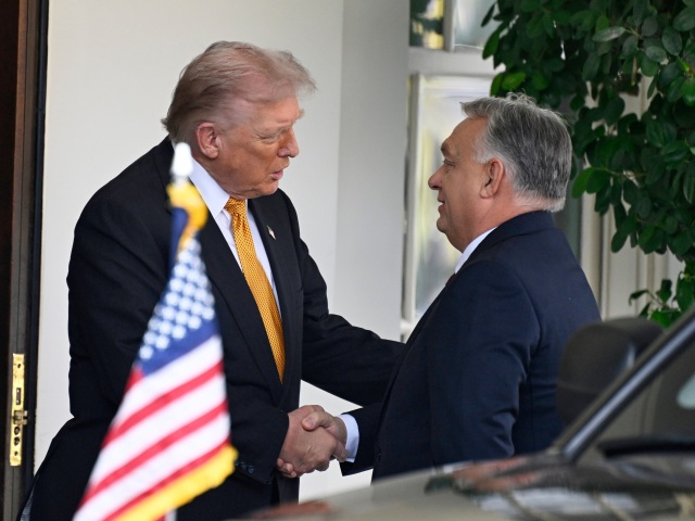 Donald Trump / Viktor Orbán /