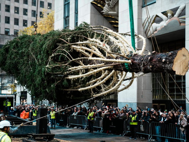 Rockefeller Center Christmas Tree, vianočný stromček