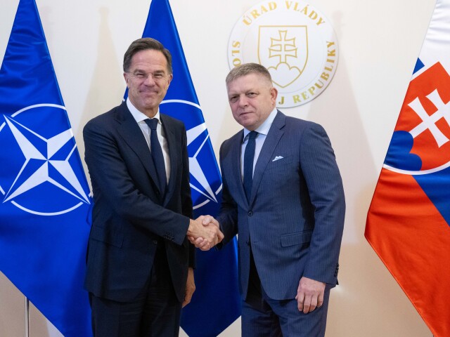 Rutte, fico