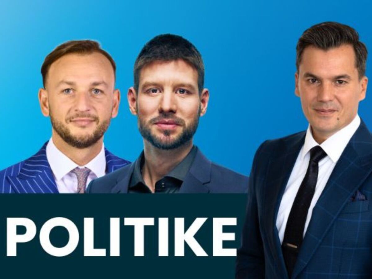 v-politike