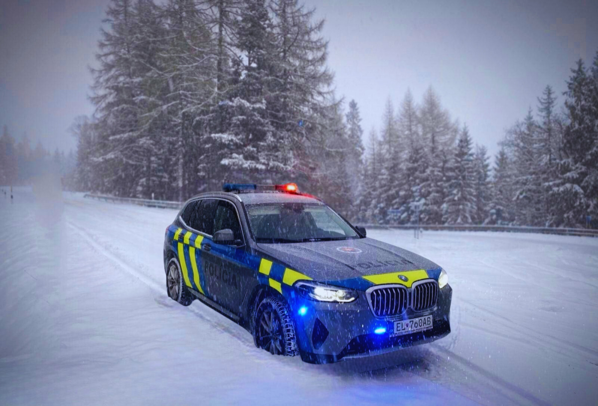 sneh, zima, polícia