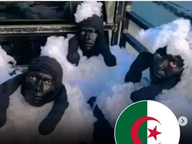 ovce, Shaun, migranti