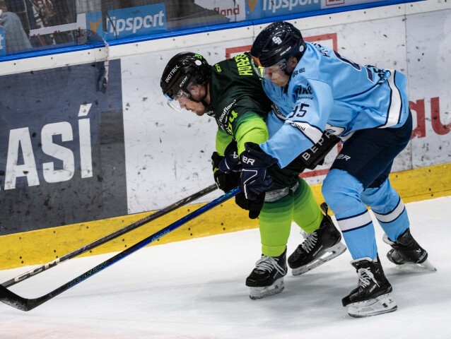 žilina, slovan