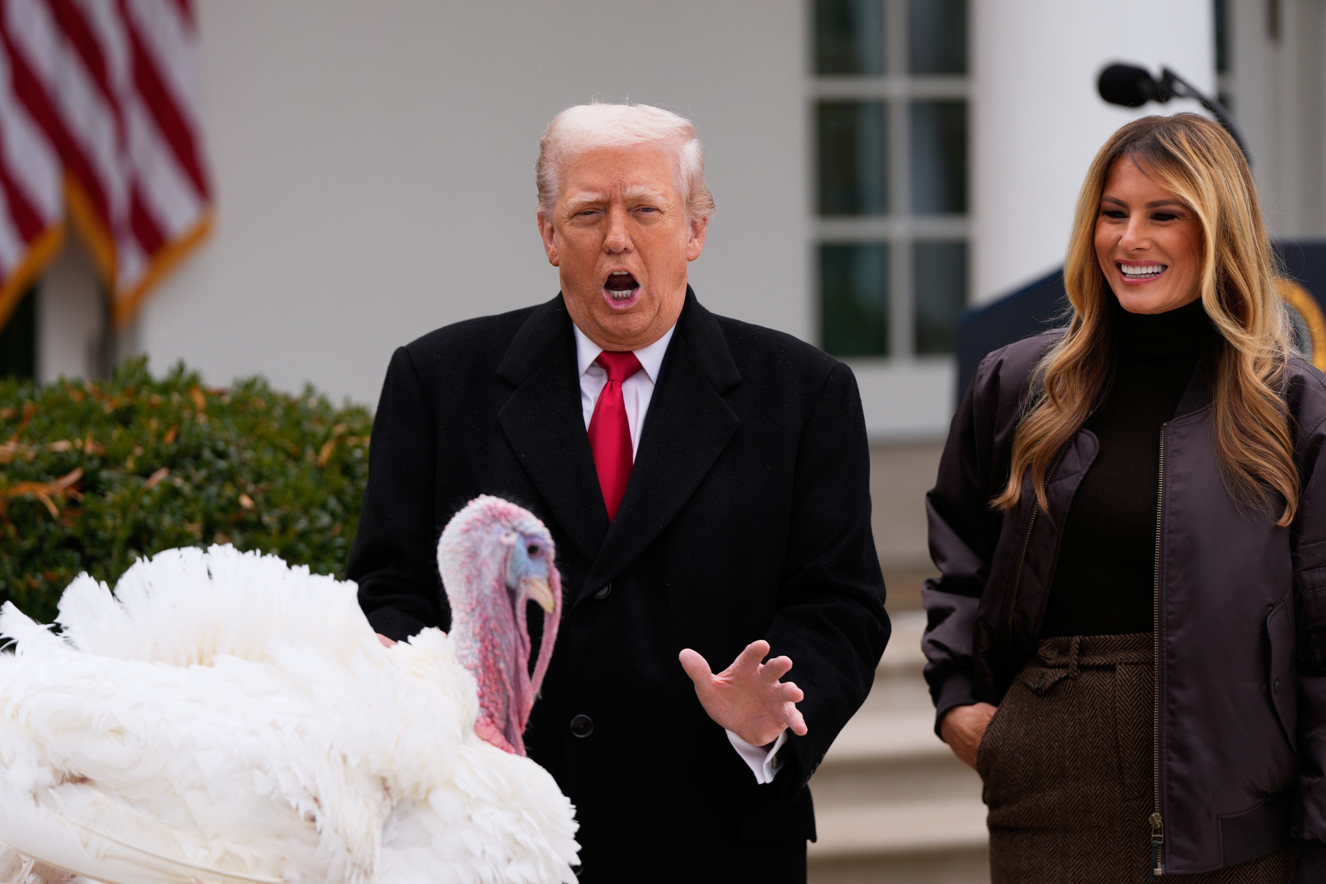 Prezident USA Donald Trump v Ružovej záhrade Bieleho domu udeľoval ku Dňu vďakyvzdania milosť moriakom.