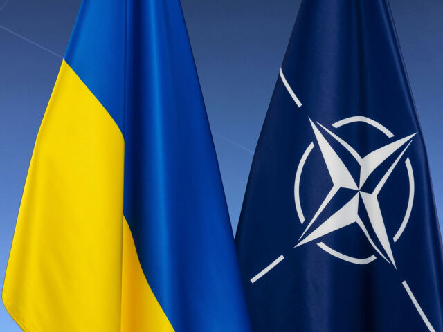 Vlajky UKR a NATO