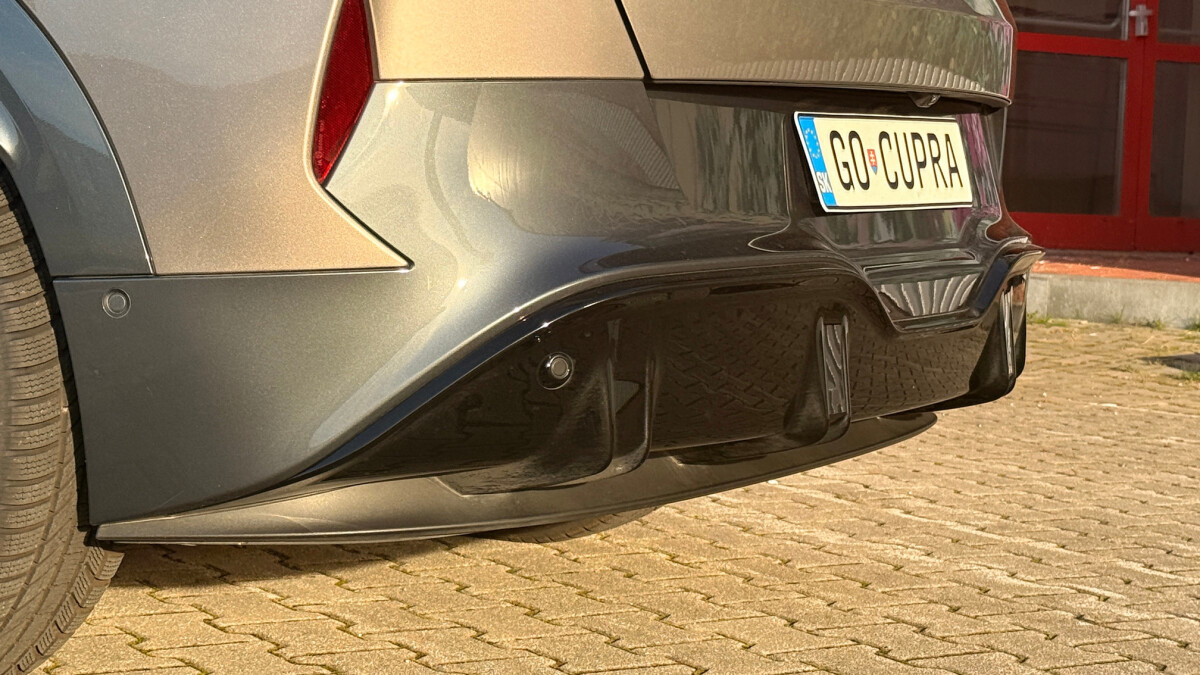 Cupra Tavascan Endurance (2025)
