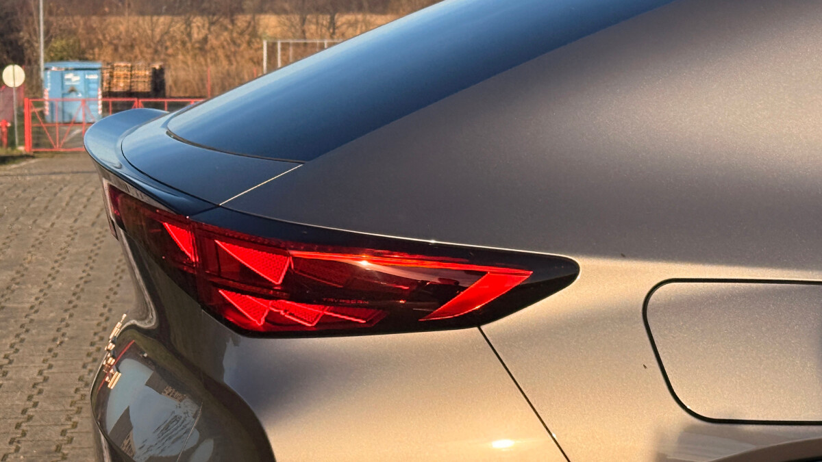 Cupra Tavascan Endurance (2025)
