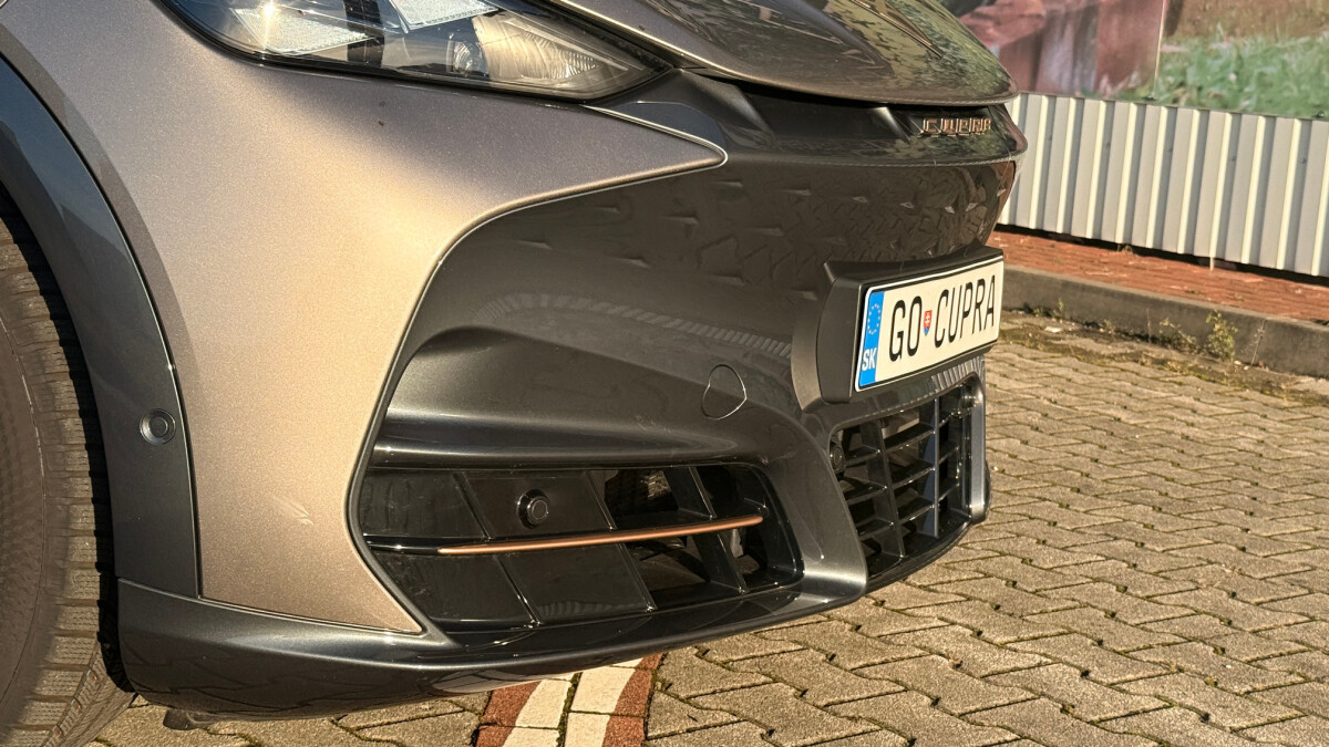 Cupra Tavascan Endurance (2025)