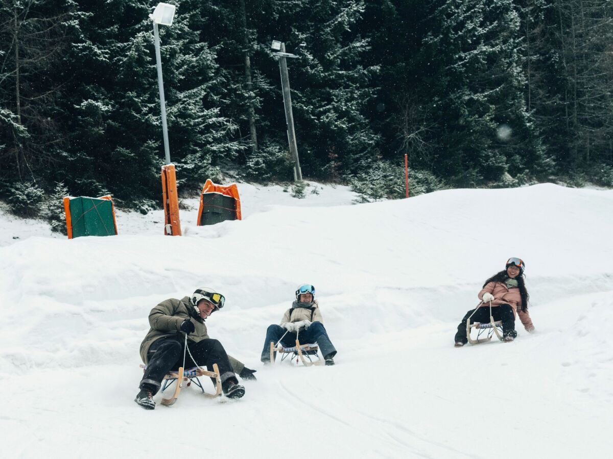 IE Winter, Dolné Rakúsko, zima, sneh