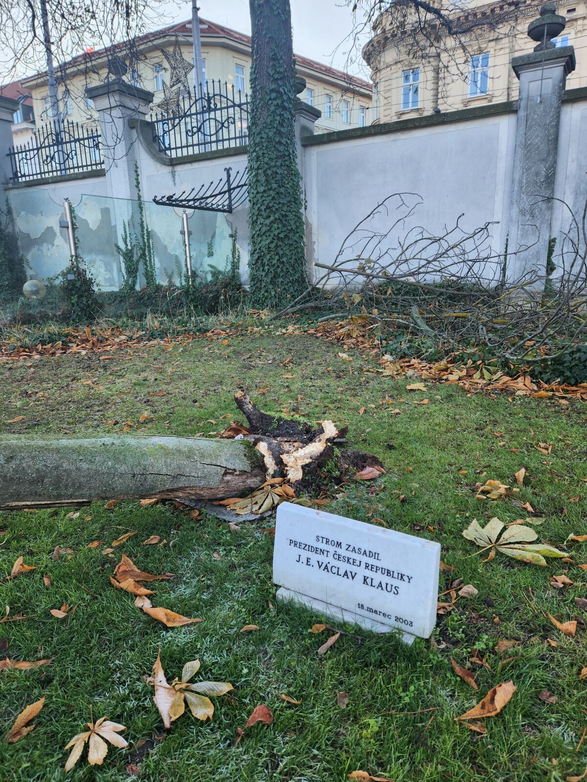 strom grasalkovičova záhrada