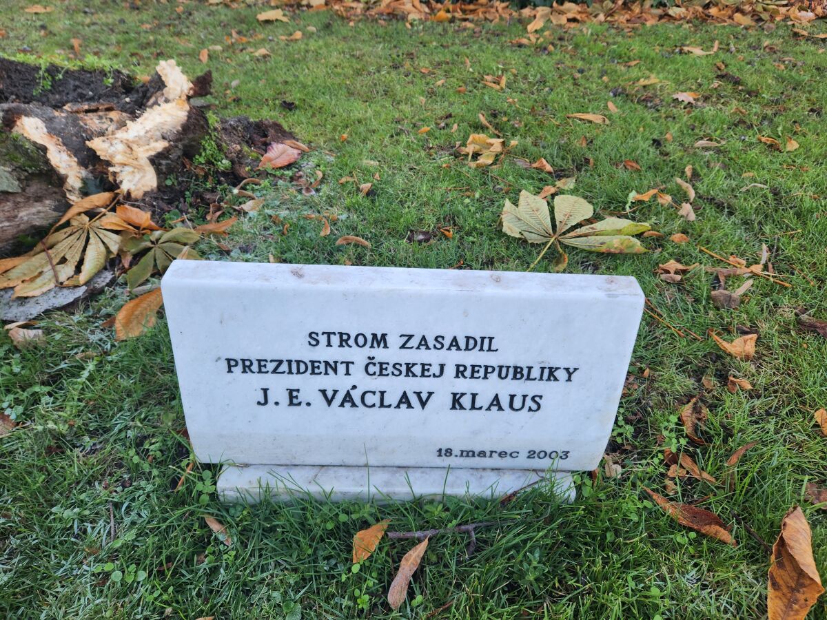 strom grasalkovičova záhrada