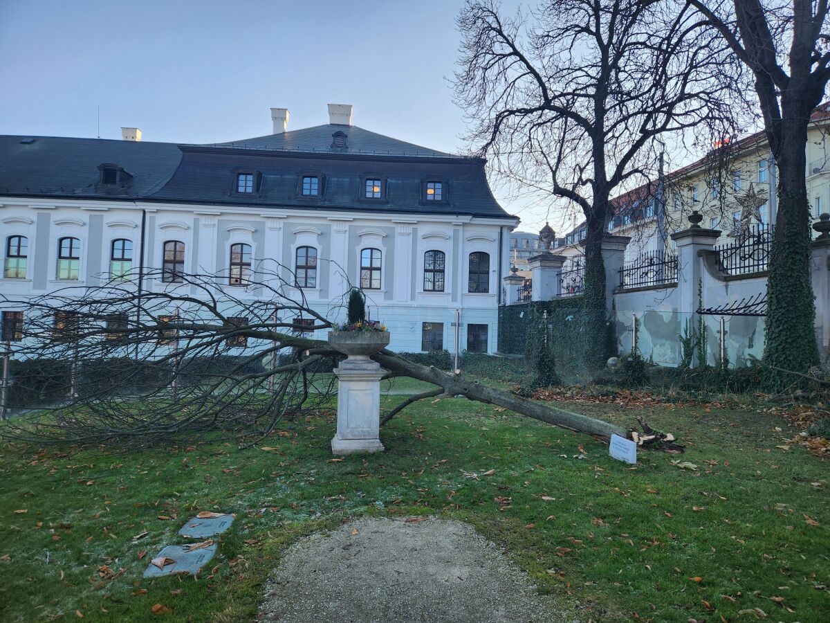 strom Klaus 