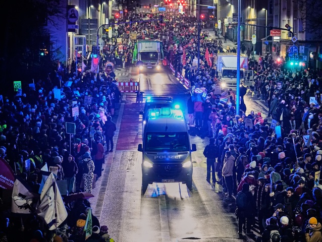 AfD, Nemecko, protest
