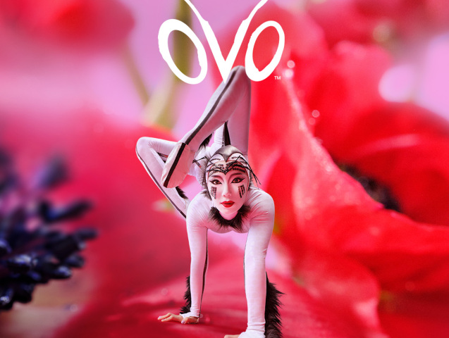 Cirque du Soleil