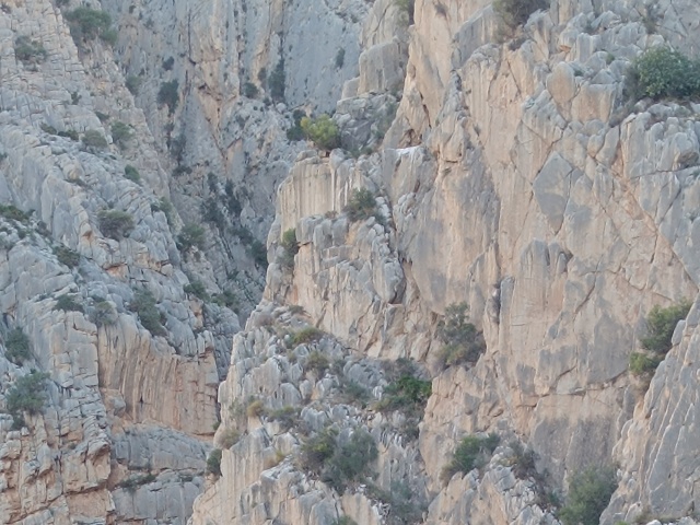 Caminito del Rey