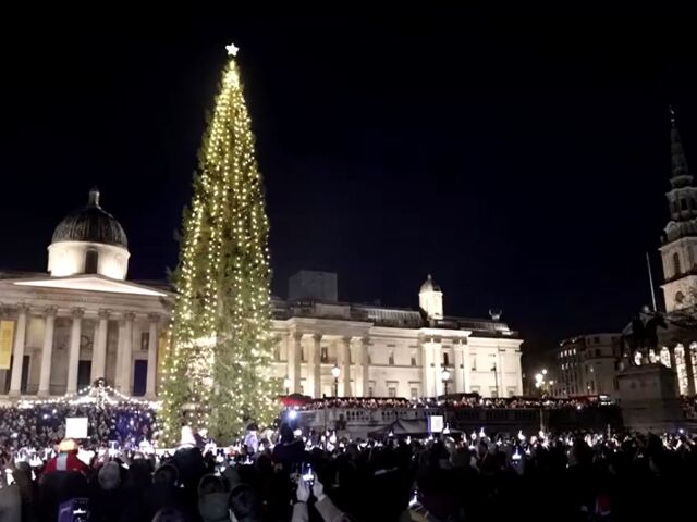 Londýn, vianočný strom, Trafalgarské námestie
