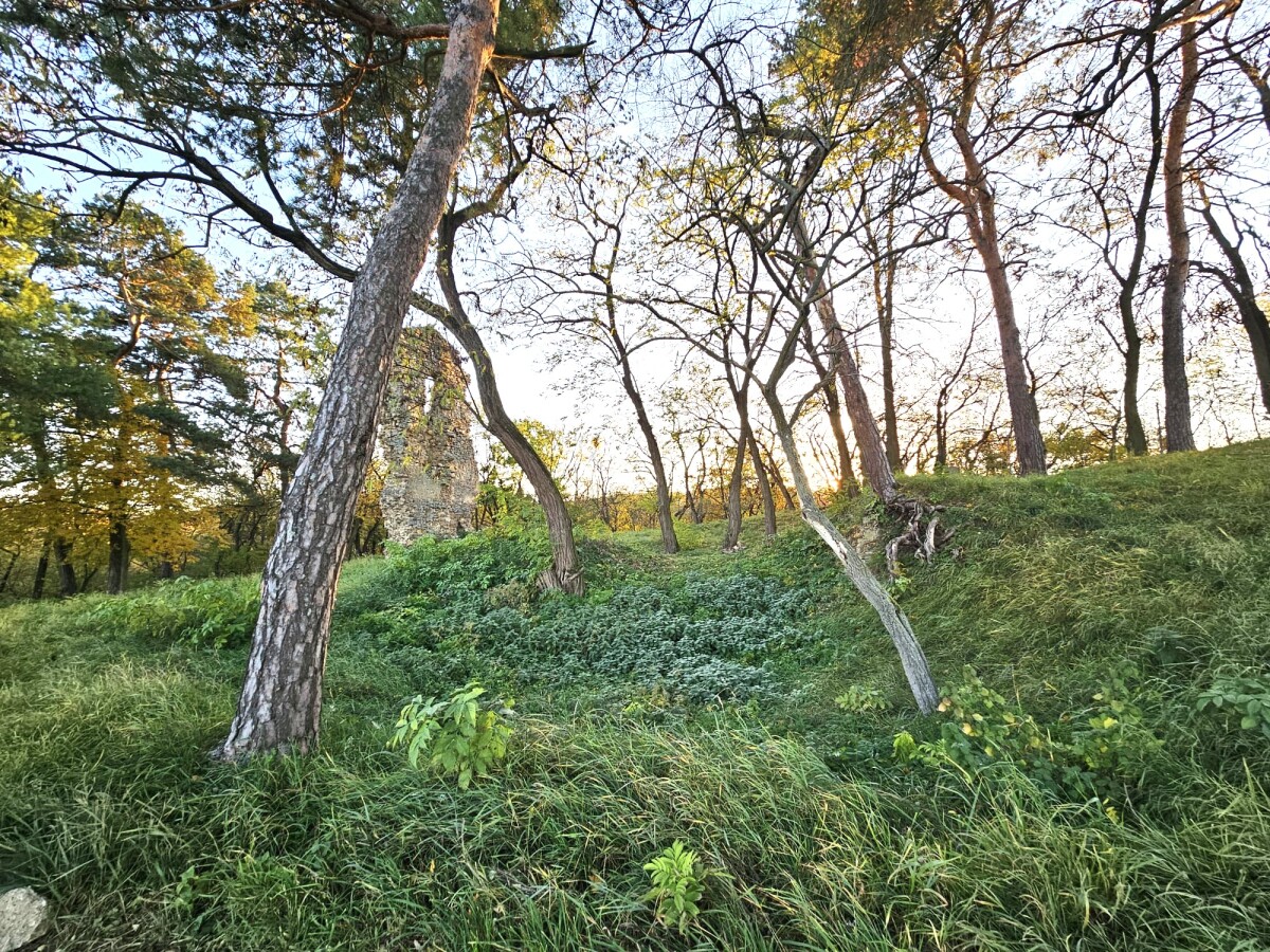 Hrad Kazimir7