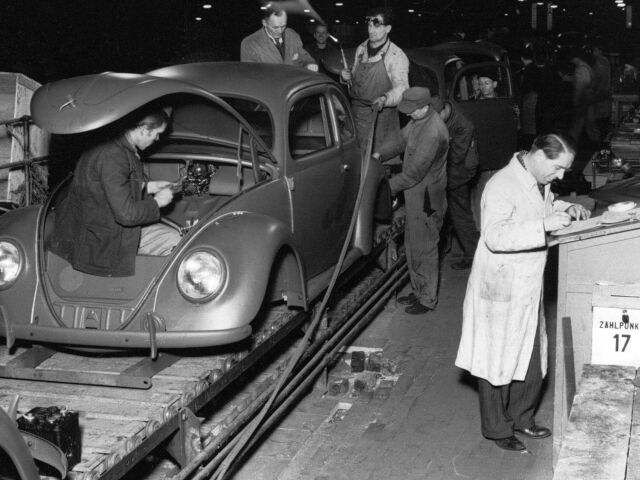 beetle