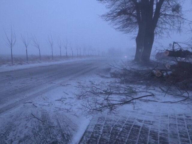 poľsko, sneh