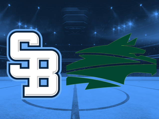 HC Slovan, Vlci Žilina