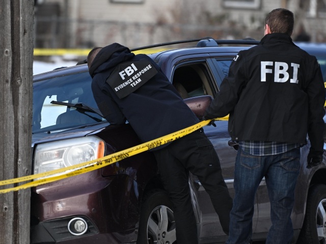 Federal Enforcement Immigration Minnesota