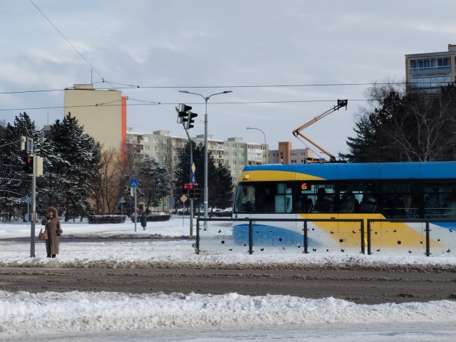 Kalamita / Zima / Mráz / Počasie / Sneh /