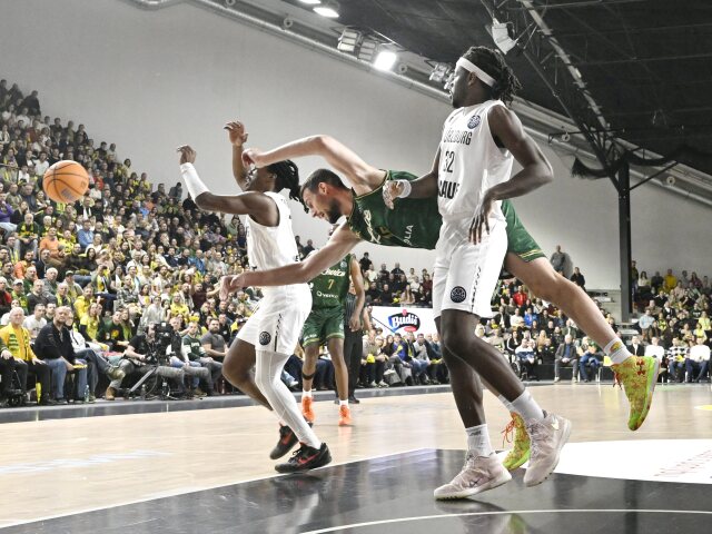 SR Basketbal LM 2. Levice Würzburg BAX