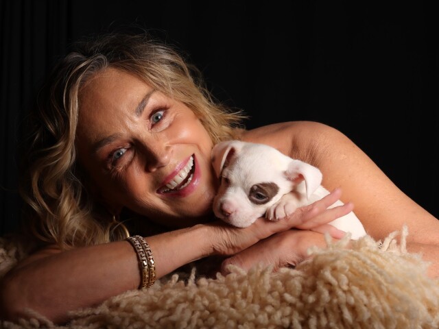 Herečka Sharon Stone. 