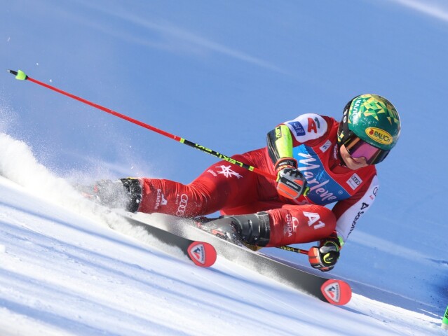 Julia Scheibová