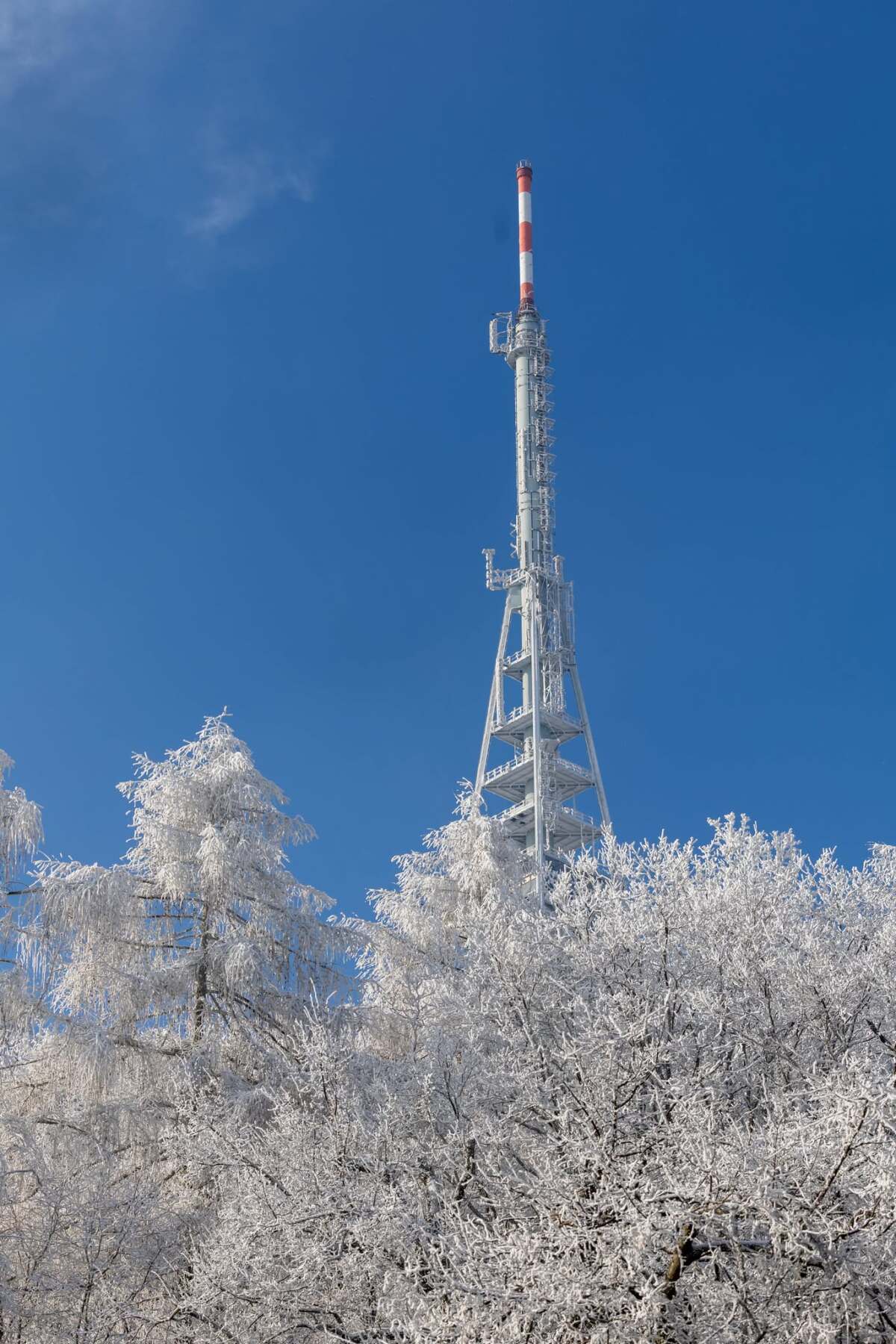 kamzík, zima, bratislava, koliba