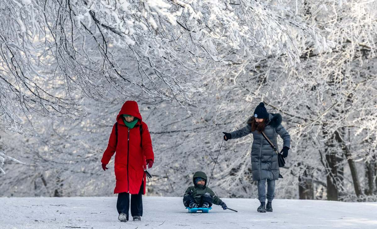 kamzík, zima, bratislava, koliba