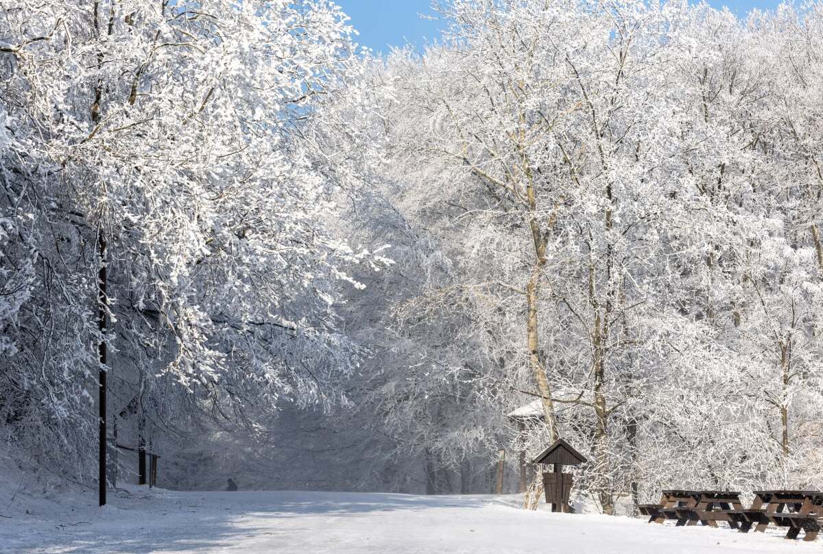 kamzík, zima, bratislava, koliba