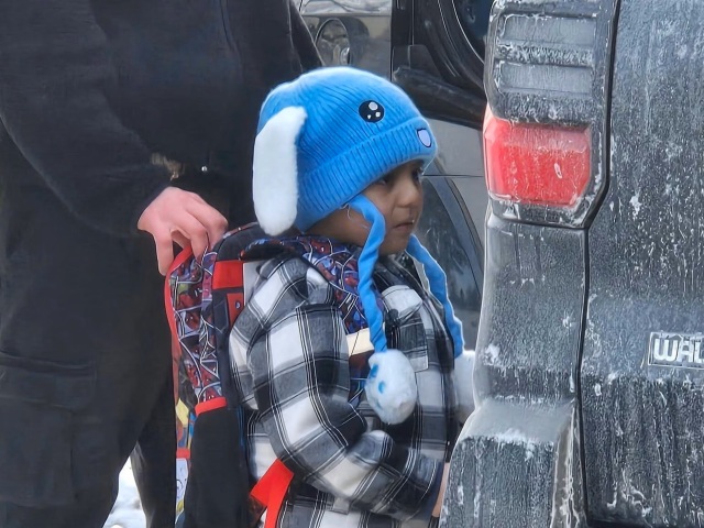 ICE, liam