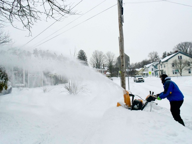 Winter Weather Vermont Fern