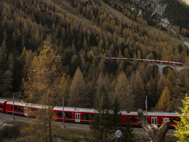 Switzerland Train Record