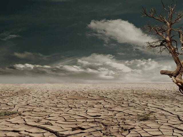 Aral, sucho,