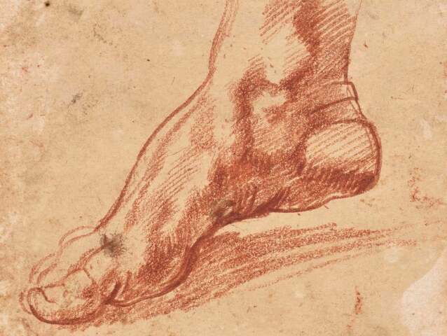 michelangelo